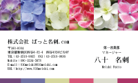 テンプレート名刺【plant-Hydrangea photo-d018-yd】