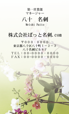 テンプレート名刺【plant-phalaenopsi photo-d009-ly-zy】
