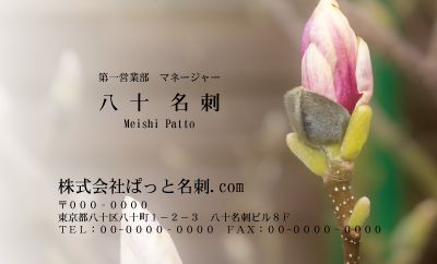 テンプレート名刺【plant-magnolia photo-d002-ly-zy】