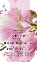 テンプレート名刺【plant-magnolia photo-d003-ly-zy】