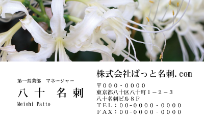 テンプレート名刺【plant-Lily photo-d001-zdk】