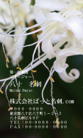 テンプレート名刺【plant-Lily photo-d001-zdk】