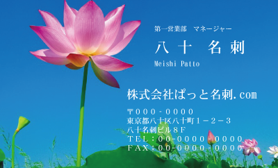 テンプレート名刺【plant-Lotus photo-d001-zdk】