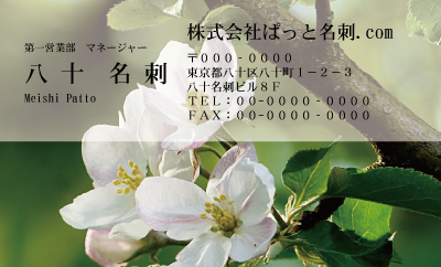 テンプレート名刺【plant-Begonia photo-d001-zdk】