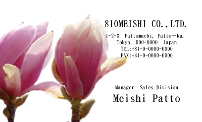 テンプレート名刺【plant-magnolia photo-d004-ly-zy】