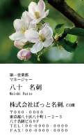 テンプレート名刺【plant-Begonia photo-d001-zdk】
