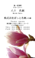 テンプレート名刺【plant-magnolia photo-d004-ly-zy】