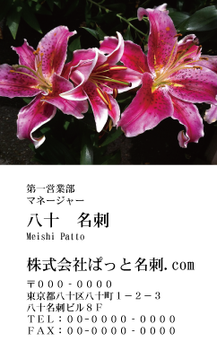 テンプレート名刺【plant-Lily photo-d002-zdk】