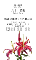 テンプレート名刺【plant-Lily photo-d004-zdk】