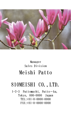 テンプレート名刺【plant-magnolia photo-d006-ly-zy】