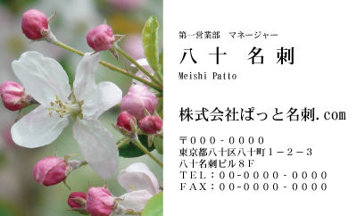 テンプレート名刺【plant-Begonia photo-d002-ly-zdk】