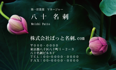 テンプレート名刺【plant-Lotus photo-d002-zdk】