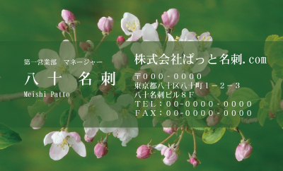テンプレート名刺【plant-Begonia photo-d003-ly-zdk】
