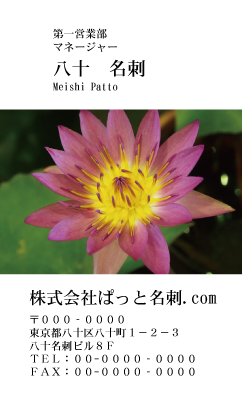 テンプレート名刺【plant-Lotus photo-d003-zdk】