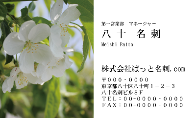 テンプレート名刺【plant-Begonia photo-d004-ly-zdk】