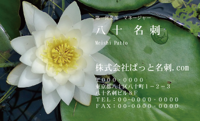 テンプレート名刺【plant-Lotus photo-d005-zdk】