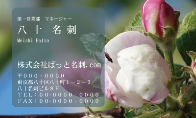 テンプレート名刺【plant-Begonia photo-d005-ly-zdk】