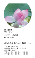 テンプレート名刺【plant-Lotus photo-d007-zdk】