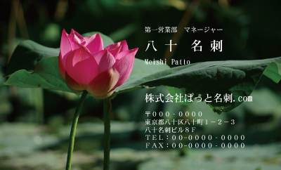 テンプレート名刺【plant-Lotus photo-d008-zdk】