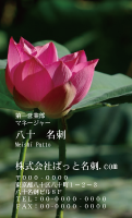 テンプレート名刺【plant-Lotus photo-d008-zdk】