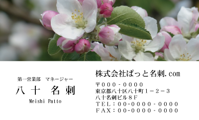 テンプレート名刺【plant-Begonia photo-d006-ly-zdk】
