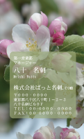 テンプレート名刺【plant-Begonia photo-d006-ly-zdk】