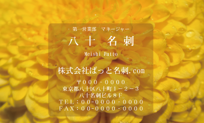 テンプレート名刺【plant-chrysanthem photo-d002-zdk】