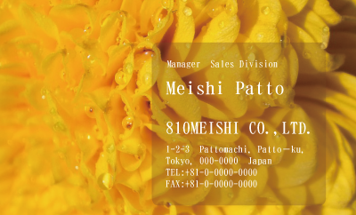テンプレート名刺【plant-chrysanthem photo-d002-zdk】