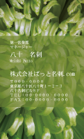 テンプレート名刺【plant-chrysanthem photo-d003-zdk】