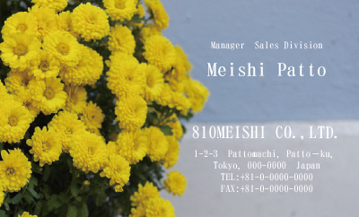 テンプレート名刺【plant-chrysanthem photo-d004-zdk】