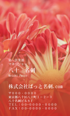 テンプレート名刺【plant-chrysanthem photo-d005-zdk】