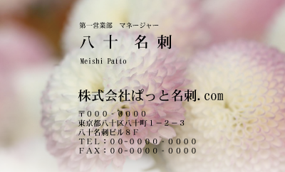 テンプレート名刺【plant-chrysanthem photo-d006-zdk】