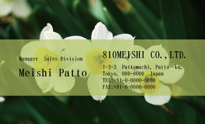 テンプレート名刺【plant-daffodil photo-d002-zdk】