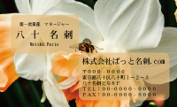 テンプレート名刺【plant-daffodil photo-d003-zdk】