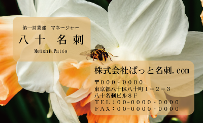 テンプレート名刺【plant-daffodil photo-d003-zdk】