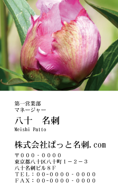 テンプレート名刺【plant-peony photo-d006-ly-zdk】