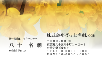 テンプレート名刺【plant-daffodil photo-d004-zdk】