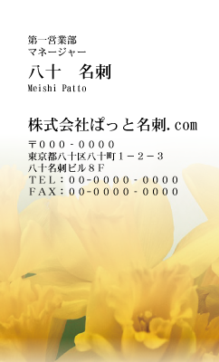 テンプレート名刺【plant-daffodil photo-d004-zdk】