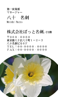 テンプレート名刺【plant-daffodil photo-d005-zdk】