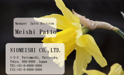 テンプレート名刺【plant-daffodil photo-d006-zdk】