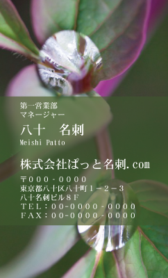 テンプレート名刺【plant-peony photo-d009-ly-zdk】