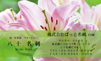テンプレート名刺【plant-Lily photo-d008-zdk】
