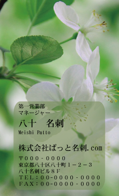 テンプレート名刺【plant-Begonia photo-d008-zdk】