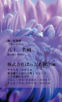 テンプレート名刺【plant-chrysanthem photo-d007-zdk】