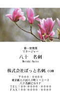 テンプレート名刺【plant-magnolia photo-d006-ly-zy】