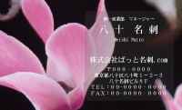 テンプレート名刺【Cyclamen photo-d001-zdk】
