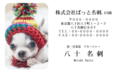 テンプレート名刺【dog photo-d038-zdk】