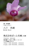 テンプレート名刺【Cyclamen photo-d011-zdk】