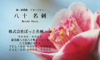 テンプレート名刺【plant-Camellia photo-d001-zdk】