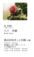 テンプレート名刺【plant-Camellia photo-d002-zdk】